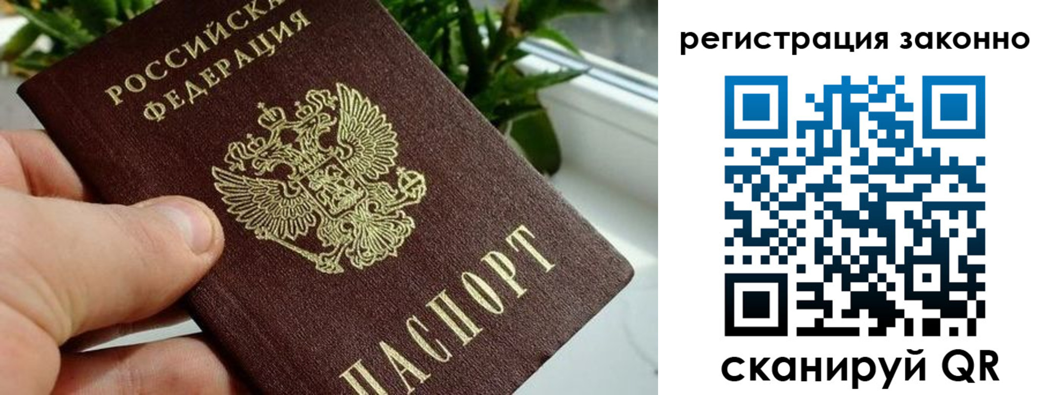 прописка гарантия в Алексеевке